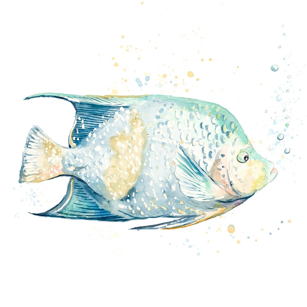 Pescado Azul Square art print by Patricia Pinto for $57.95 CAD