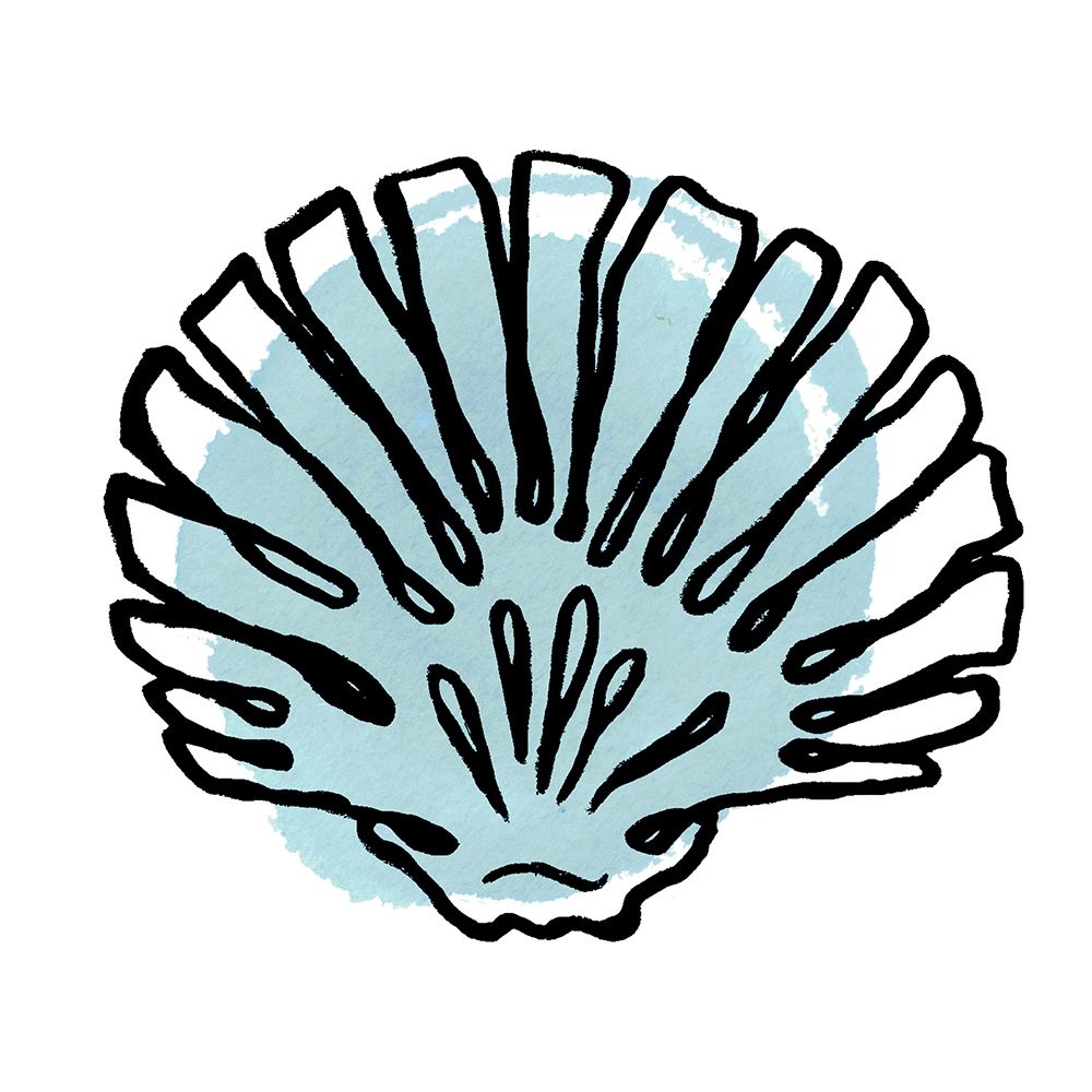 Coastal Contours I art print by Elizabeth Medley for $57.95 CAD