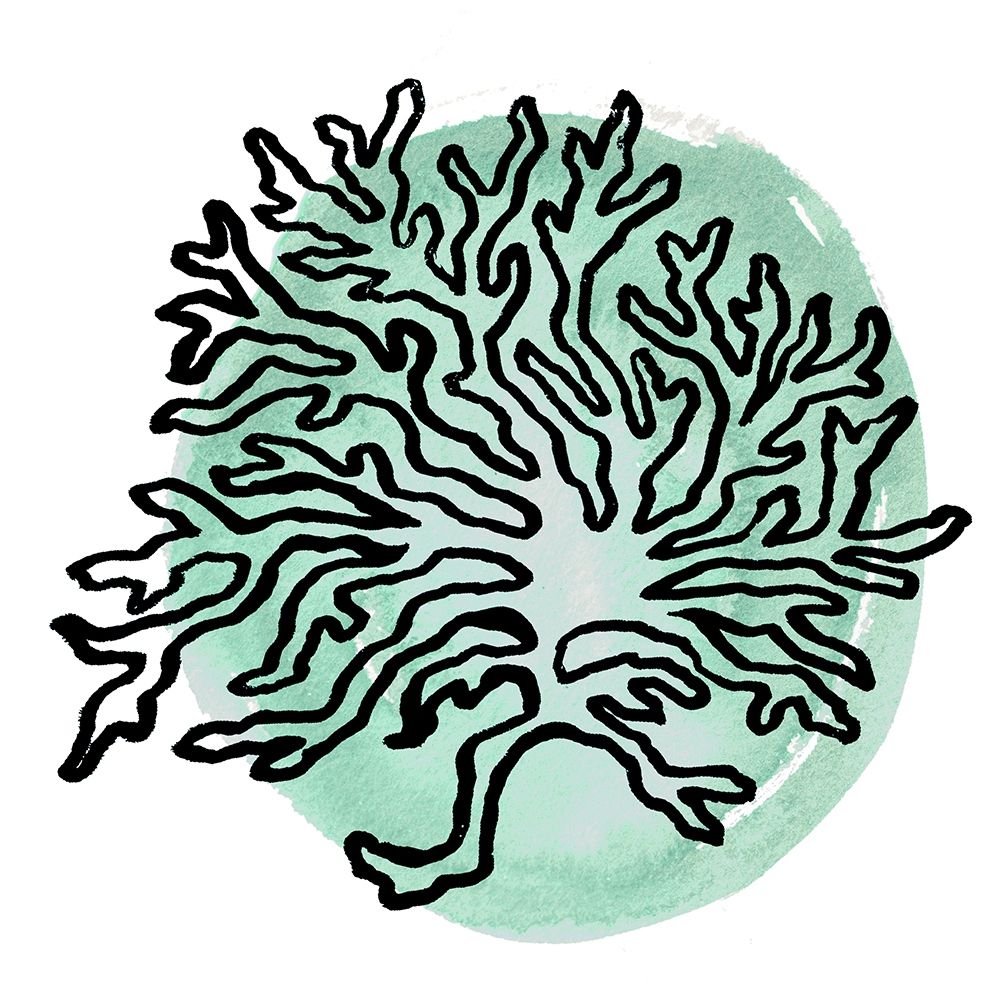 Coastal Contours IV art print by Elizabeth Medley for $57.95 CAD
