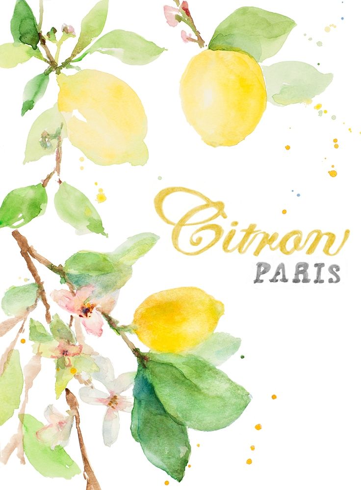Spring Citron In Paris art print by Lanie Loreth for $57.95 CAD
