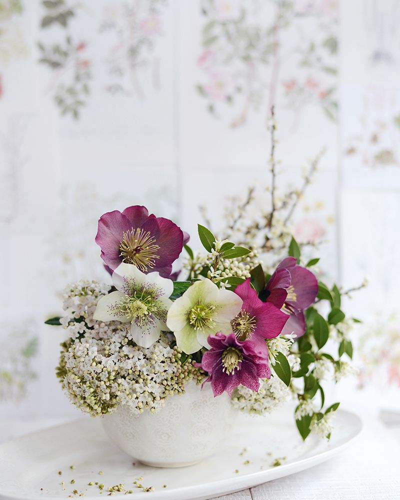 Soft And Elegant art print by Sarah Gardner for $57.95 CAD