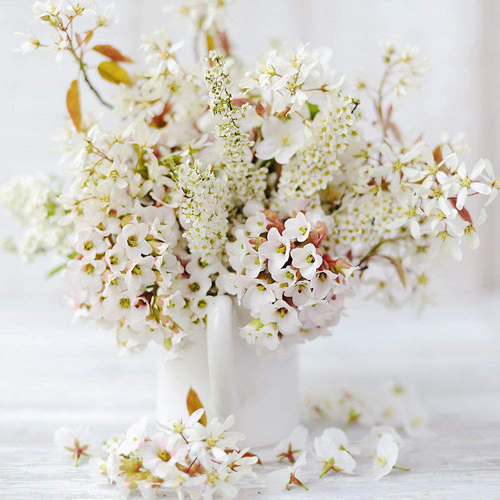 Morning Light art print by Sarah Gardner for $57.95 CAD
