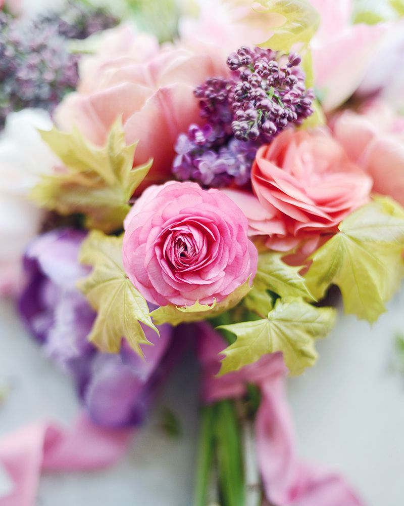 Spring In Full Glory art print by Sarah Gardner for $57.95 CAD