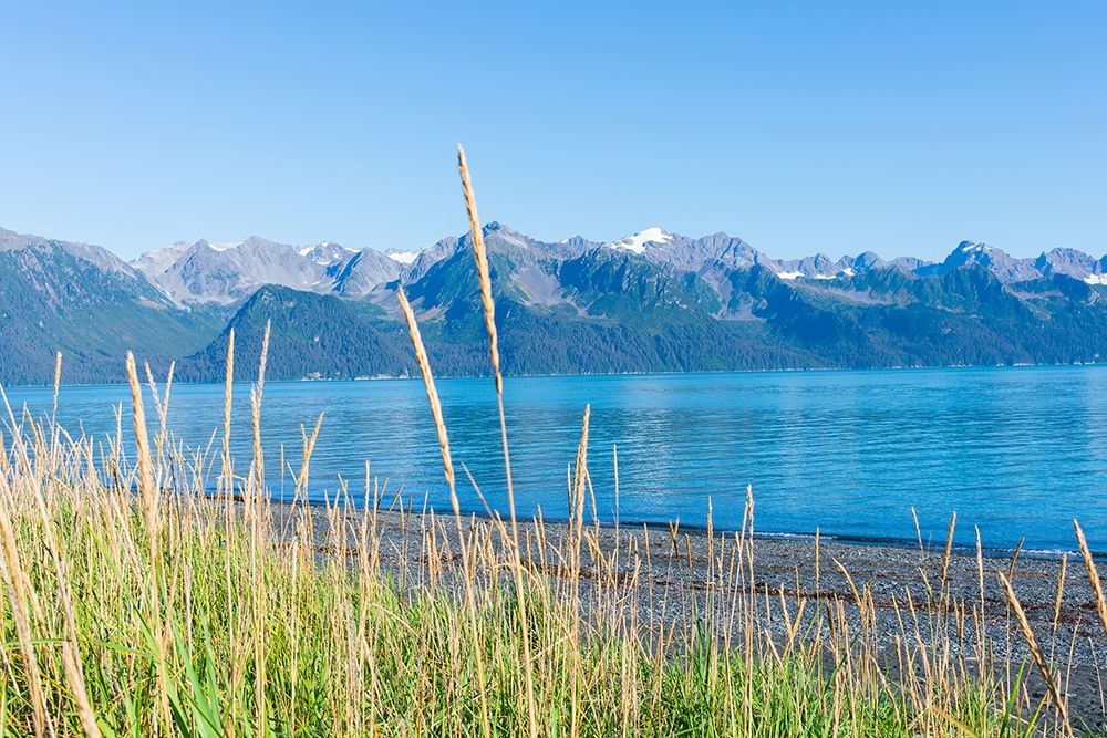 Alaskan Shorelines art print by Kali Wilson for $57.95 CAD