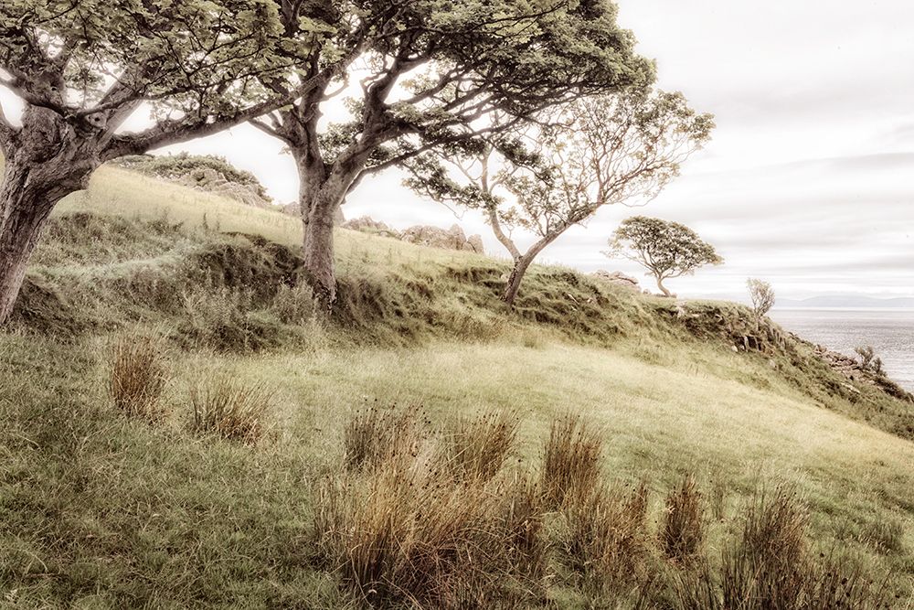 Irish Hillside art print by Andy Amos for $57.95 CAD