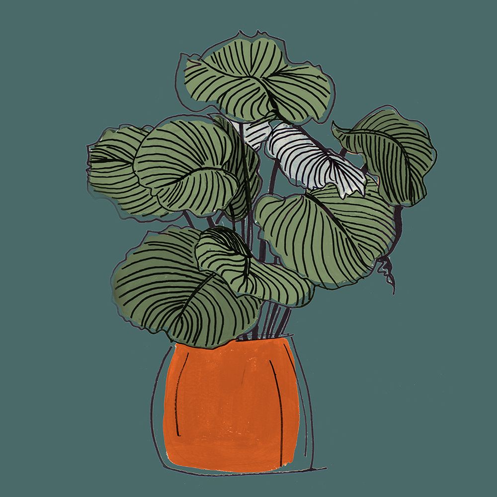 The Retro Pot On Teal I art print by Patricia Pinto for $57.95 CAD