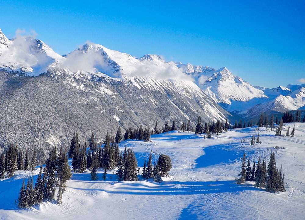 Snowy Mountaintop art print by Gail Peck for $57.95 CAD