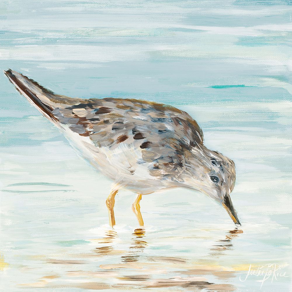 Sandpiper Shore II art print by Julie DeRice for $57.95 CAD