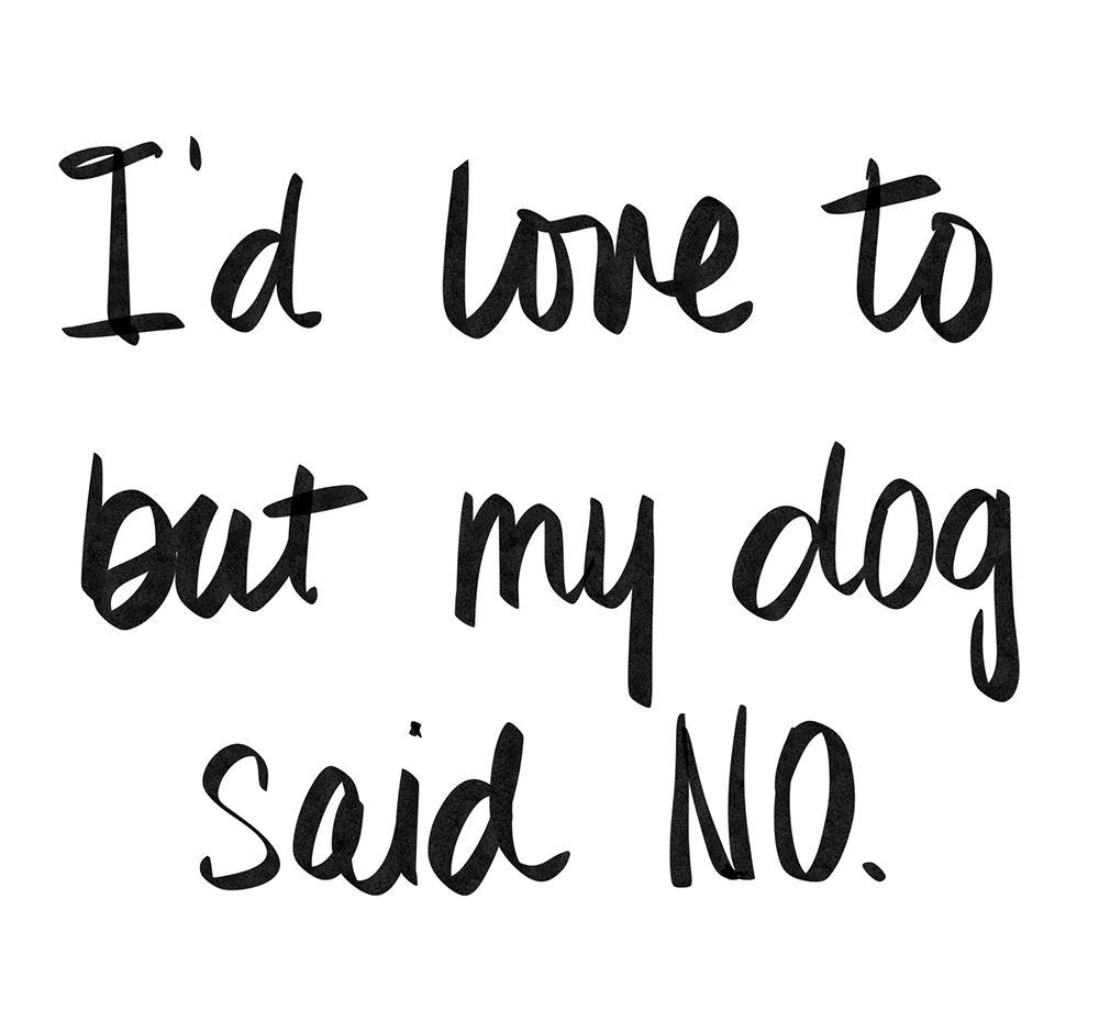 My Dog Said No art print by SD Graphics Studio for $57.95 CAD