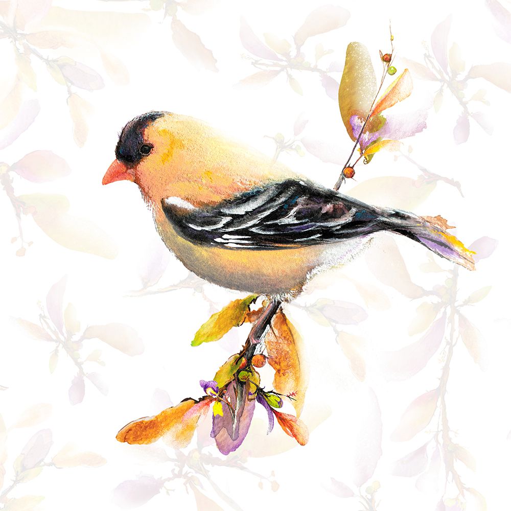 Watercolor Chickadee IV art print by Diannart for $57.95 CAD