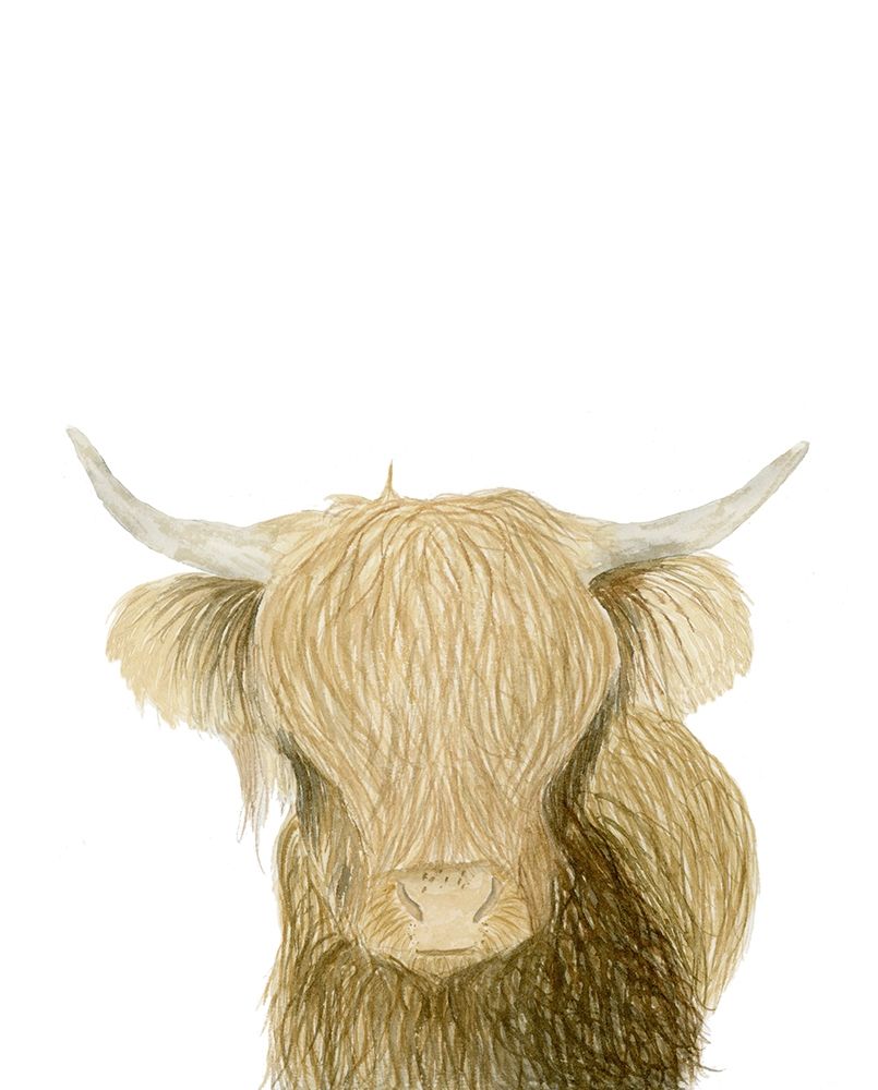 Highland Cattle art print by Lucille Price for $57.95 CAD