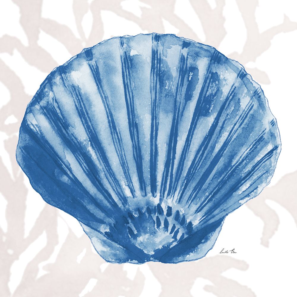 Navy Ocean Shells Square II art print by Lucille Price for $57.95 CAD