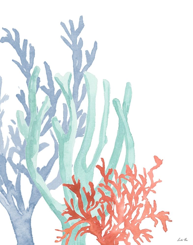 Triple Coral II art print by Lucille Price for $57.95 CAD