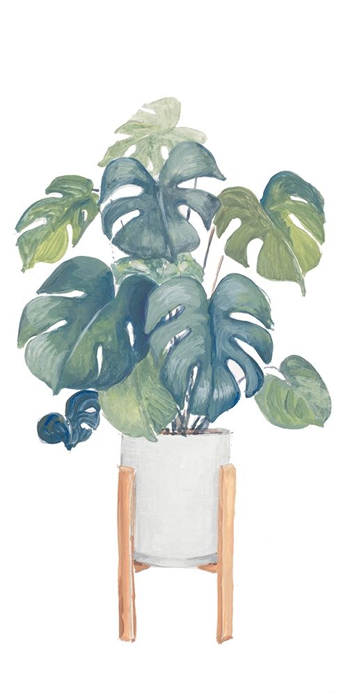 Monstera Deliciosa art print by Lanie Loreth for $57.95 CAD