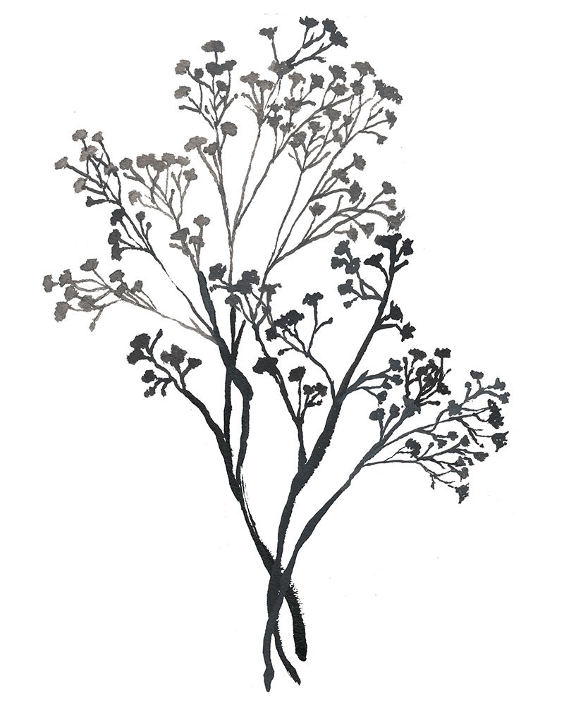 Babys Breath art print by Elizabeth Medley for $57.95 CAD