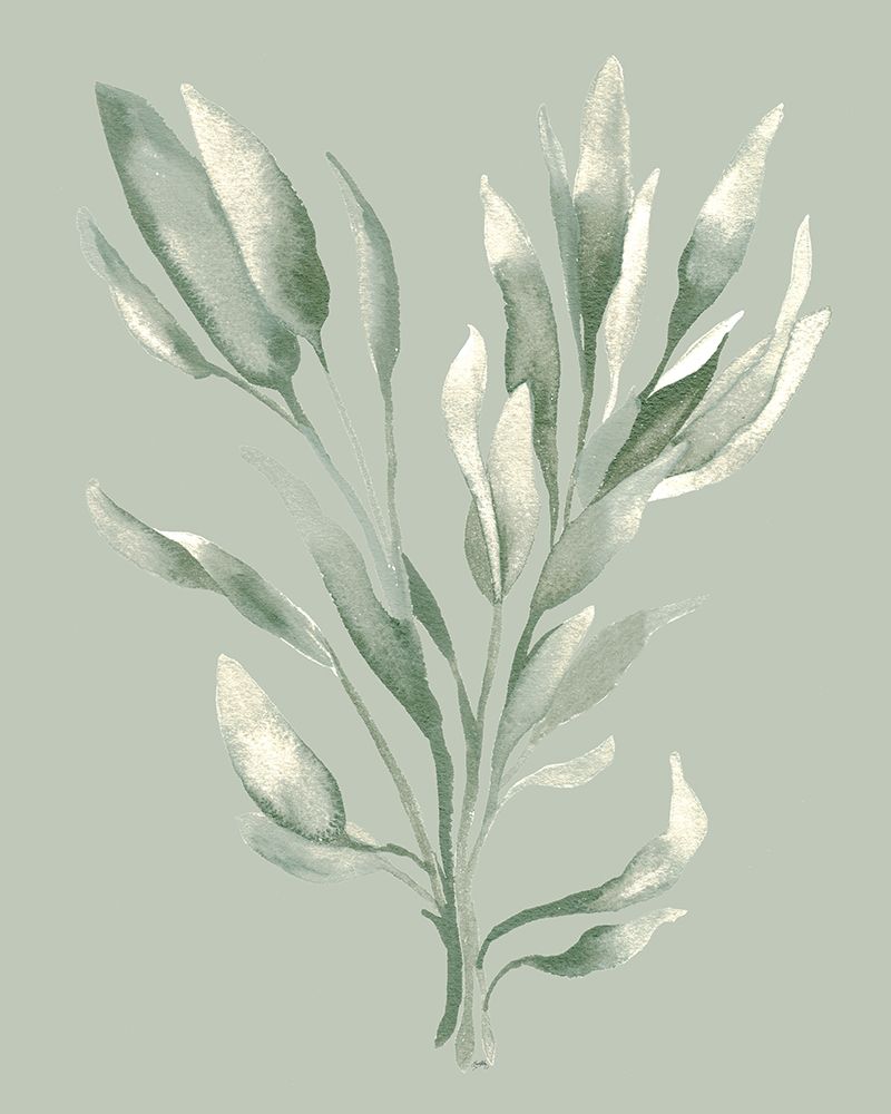 Tonal Green Ferns II art print by Elizabeth Medley for $57.95 CAD