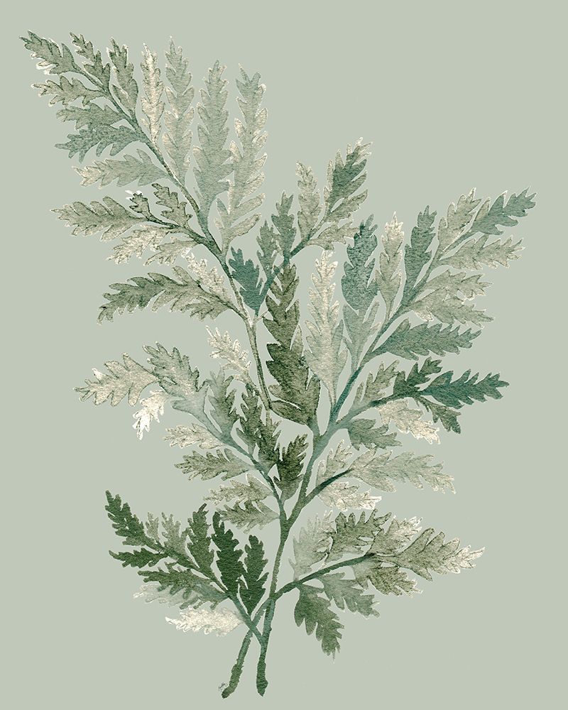 Tonal Green Ferns I art print by Elizabeth Medley for $57.95 CAD