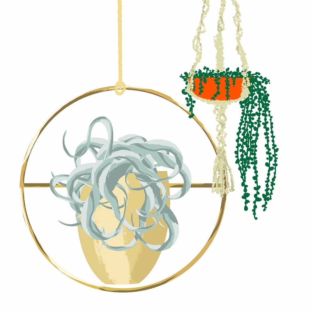 Hanging Plant Set III art print by Jen Bucheli for $57.95 CAD