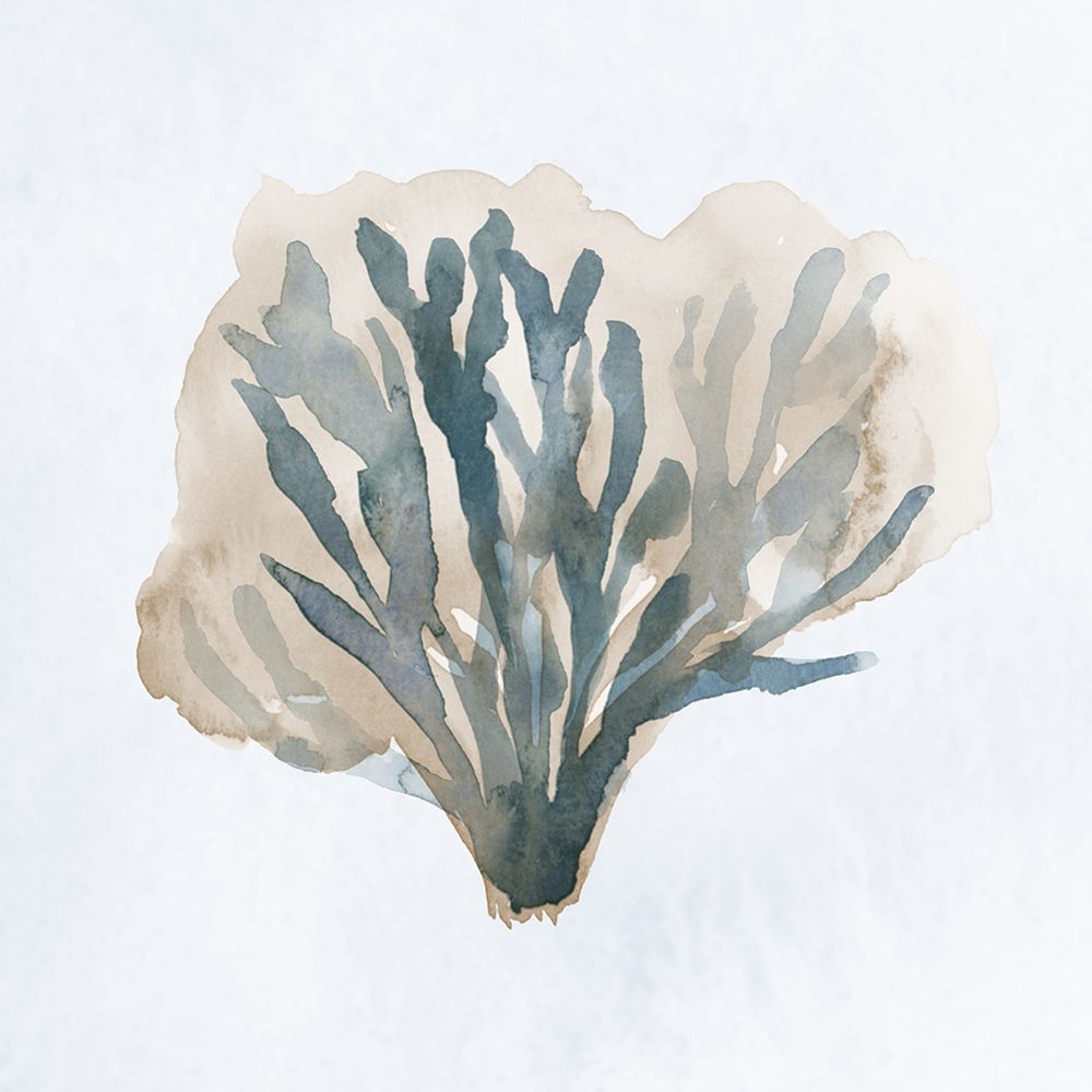 Atlantic Coral I art print by Lucille Price for $57.95 CAD