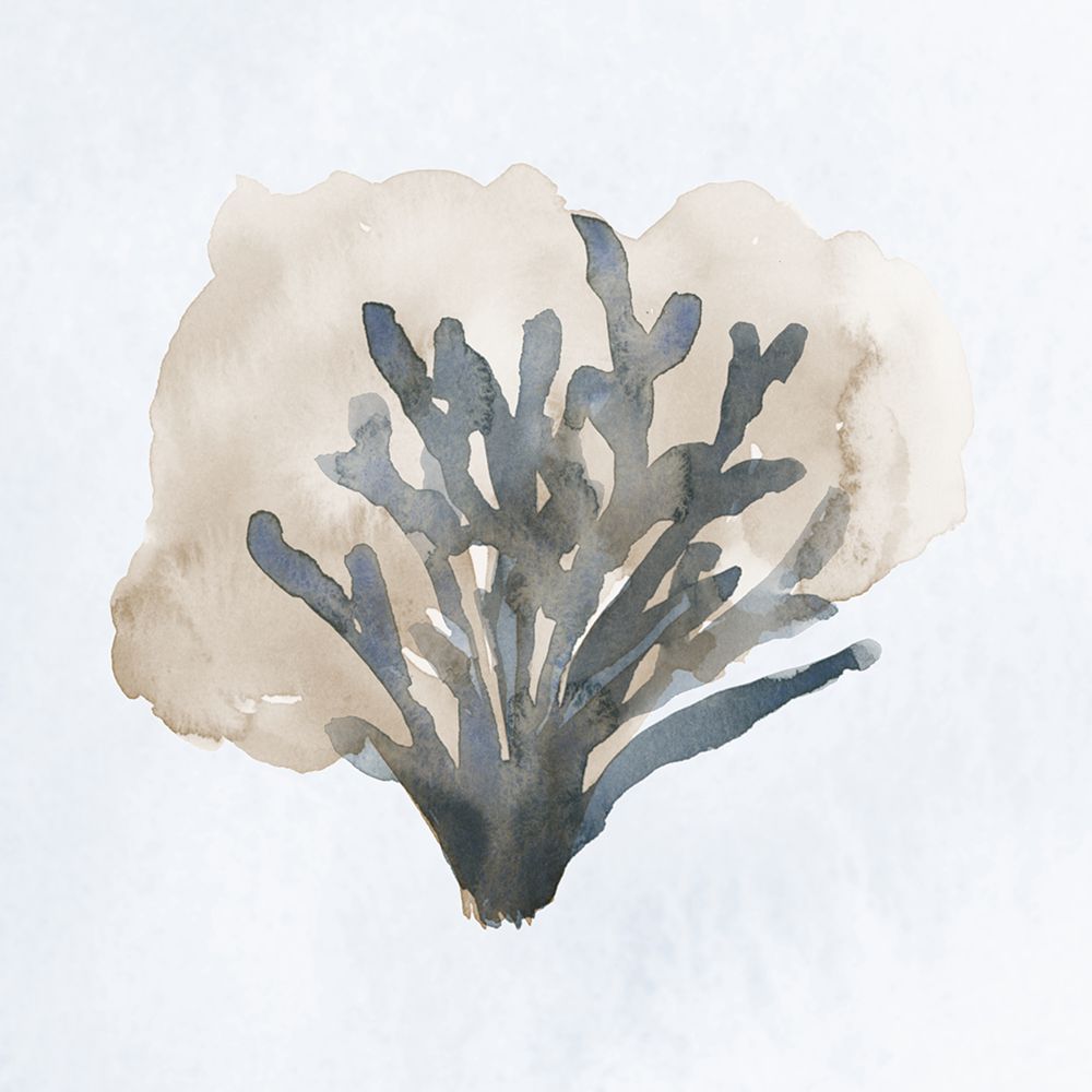 Atlantic Coral II art print by Lucille Price for $57.95 CAD