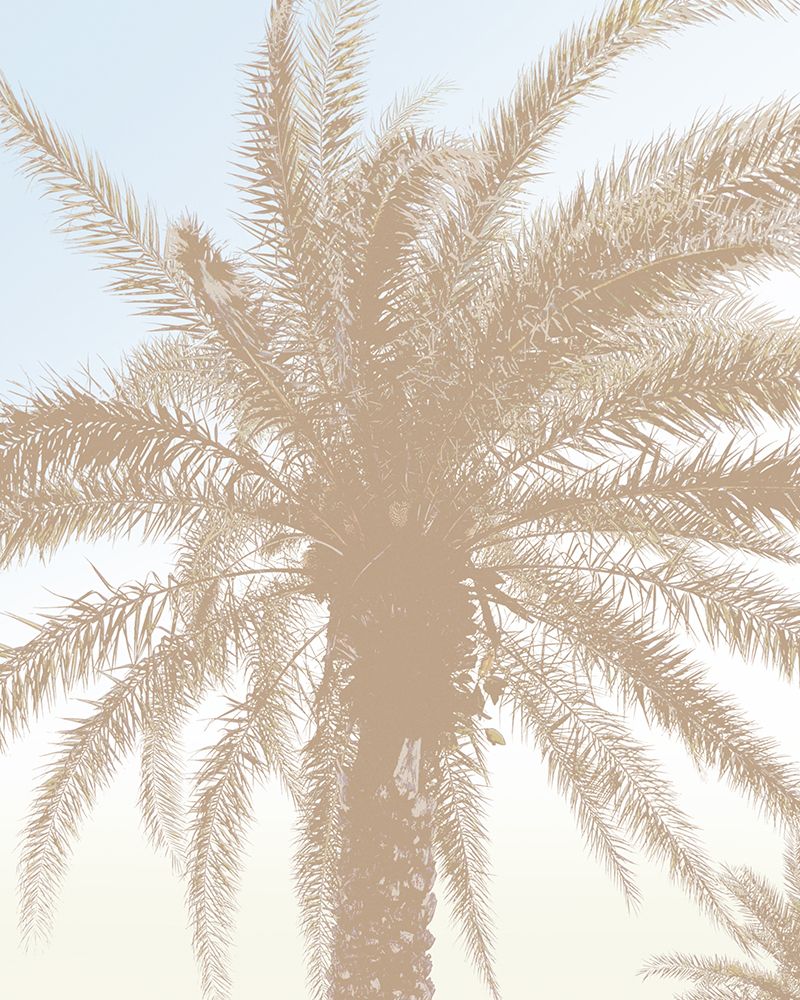 Tan Resting Palm art print by Dan Meneely for $57.95 CAD