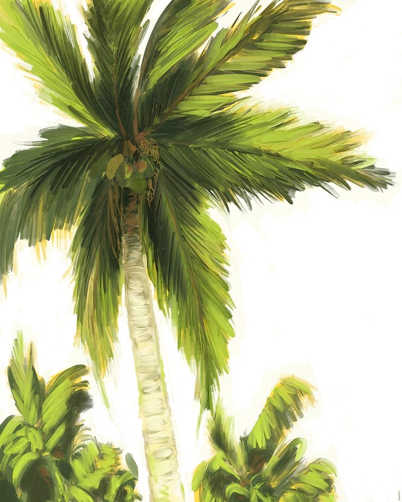 Resting Palm II art print by Dan Meneely for $57.95 CAD