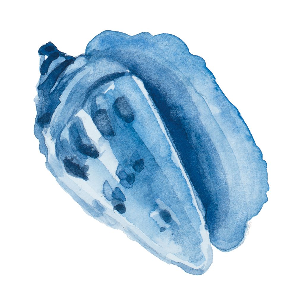 Dark Indigo Conch art print by Lanie Loreth for $57.95 CAD