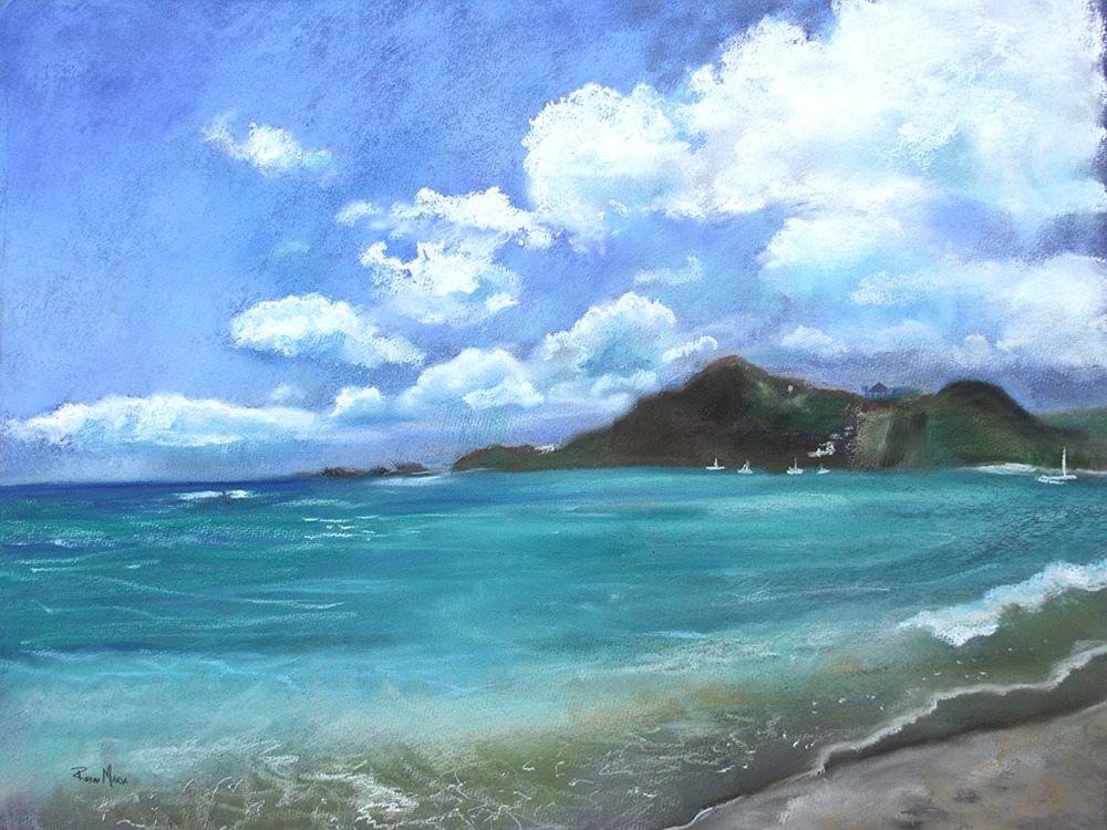 Caribbean Splendor art print by Robin Maria for $57.95 CAD