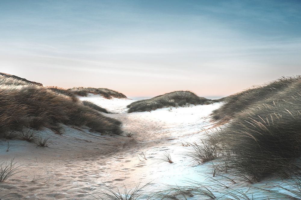 Dune Walk art print by Dan Meneely for $57.95 CAD