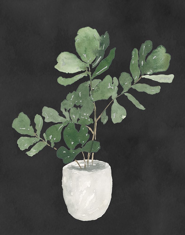 My Fiddle Leaf Fig On Black art print by Lucille Price for $57.95 CAD