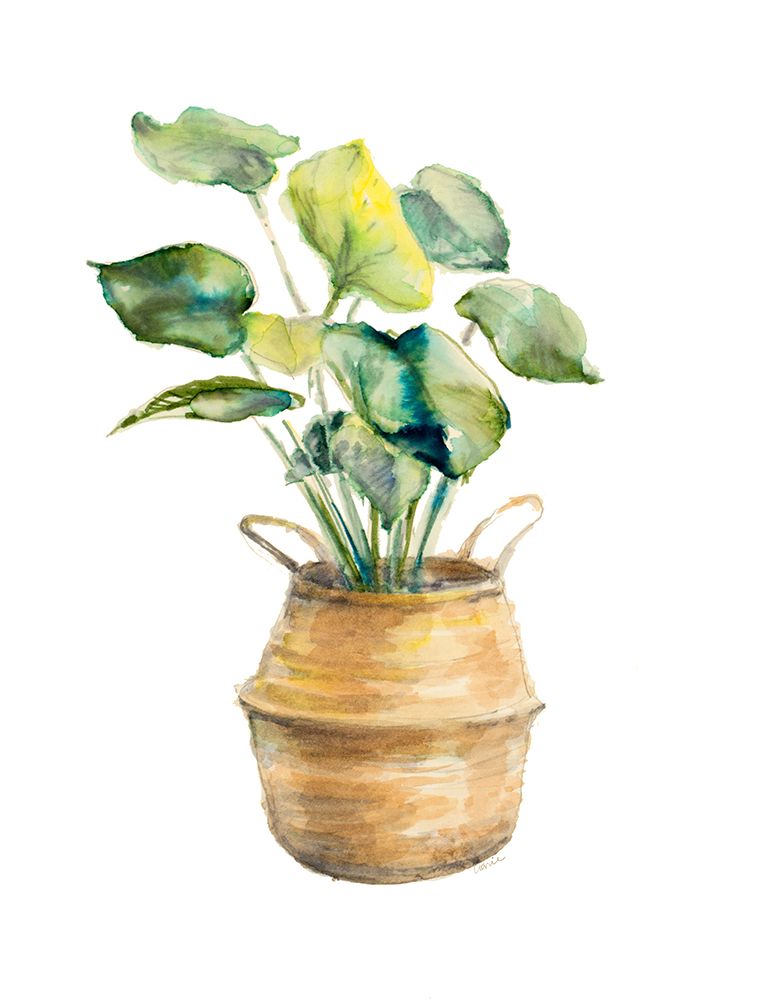 Pathosin Seagrass Basket art print by Lanie Loreth for $57.95 CAD