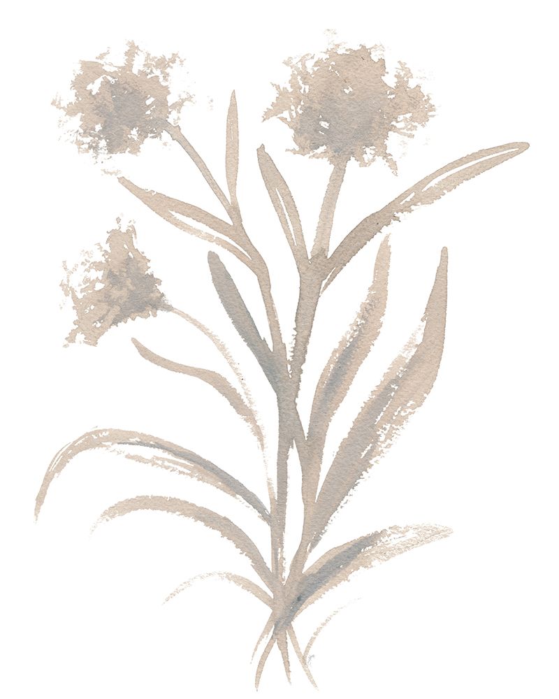 Beige Herb II art print by Elizabeth Medley for $57.95 CAD