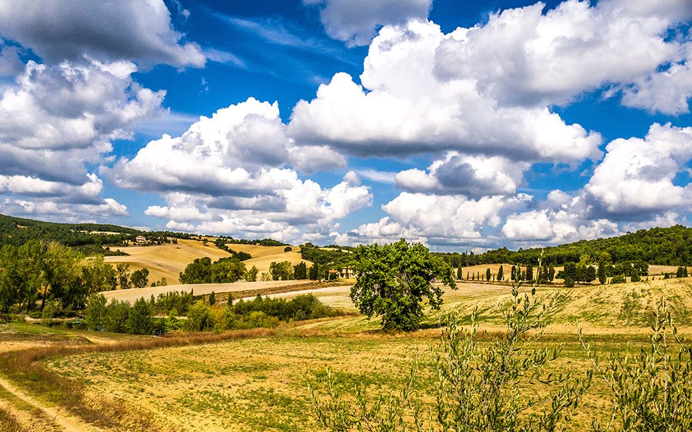 Splendid View art print by Bill Carson Photography for $57.95 CAD