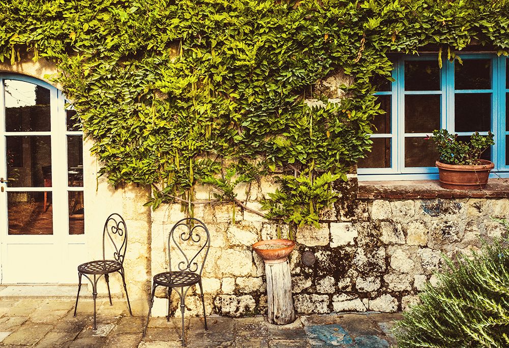 Vine Covered House II art print by Bill Carson Photography for $57.95 CAD