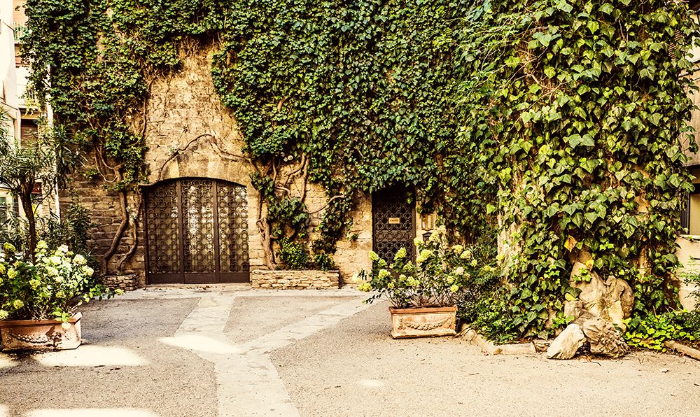 Vine Covered House I art print by Bill Carson Photography for $57.95 CAD