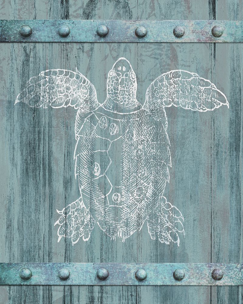 White Turtle Painted On Blue Wood art print by Dan Meneely for $57.95 CAD