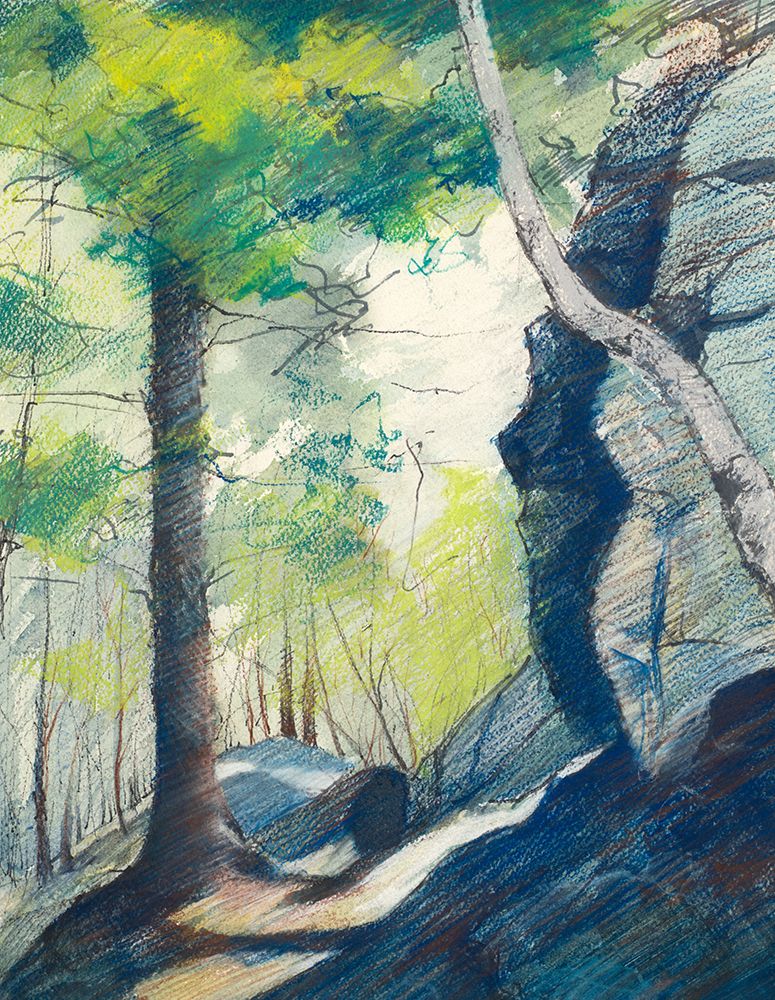 Sunrise In The Woods art print by Bruce Nawrocke for $57.95 CAD
