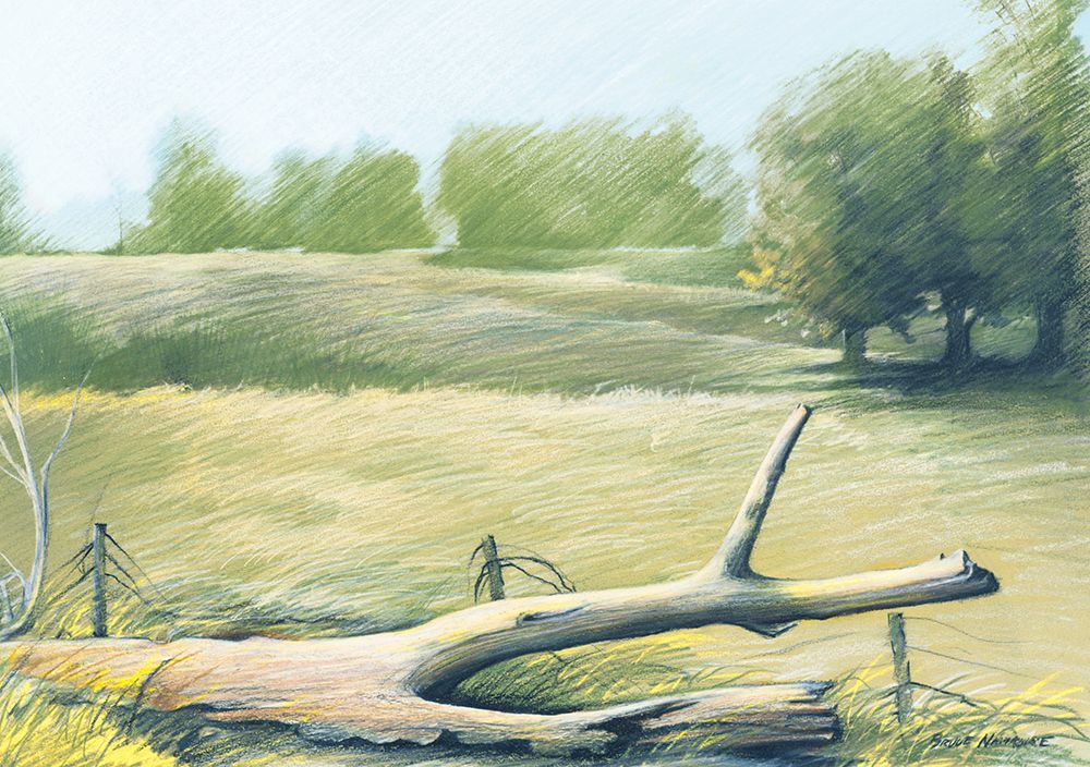 Sunrise In The Field art print by Bruce Nawrocke for $57.95 CAD