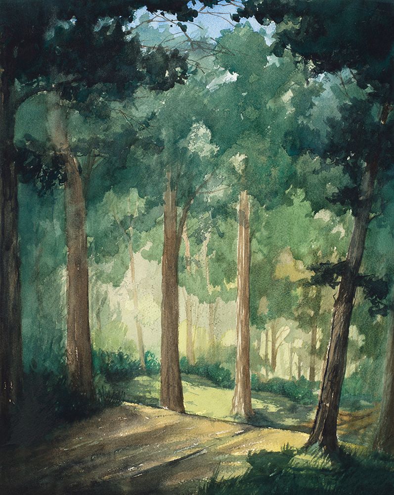 Hike In The Dark Green Woods art print by Bruce Nawrocke for $57.95 CAD