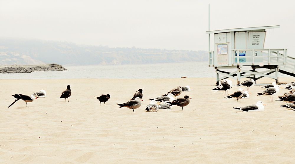 Morning Duty art print by Bill Carson Photography for $57.95 CAD