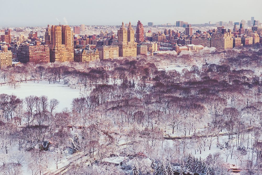 Winter In Central Park art print by Bill Carson Photography for $57.95 CAD