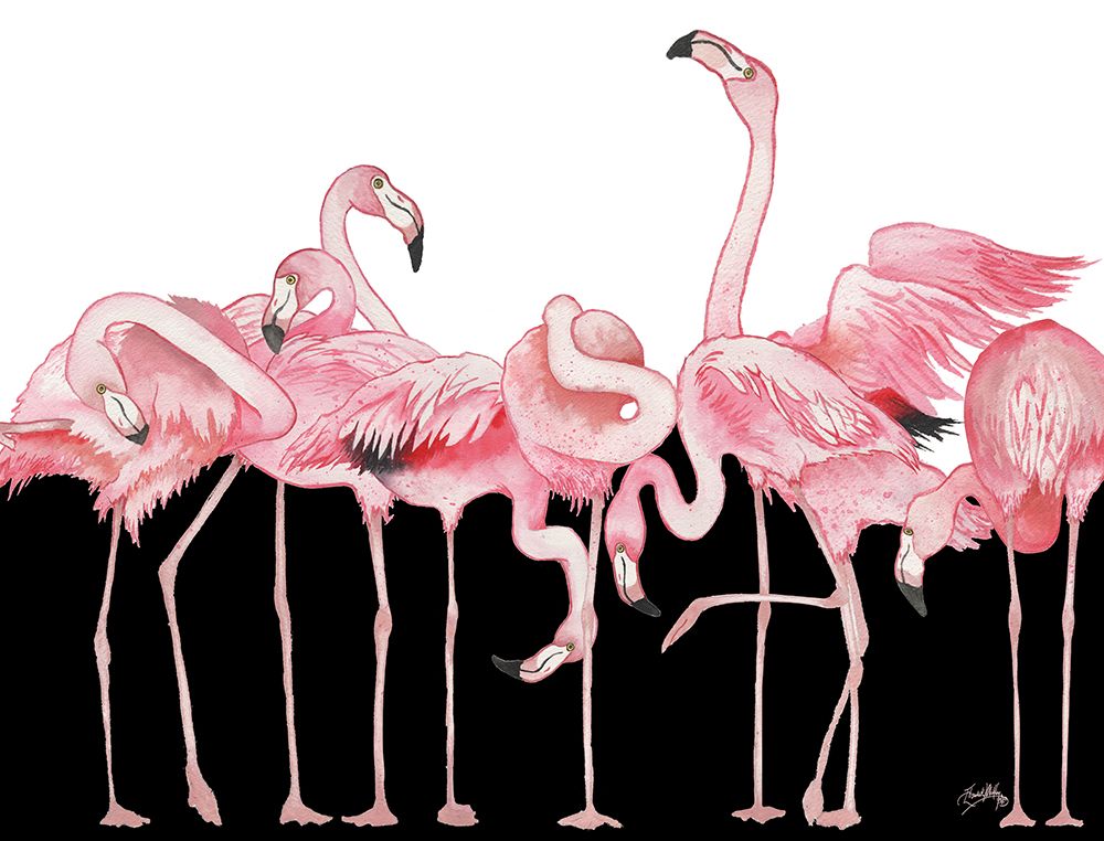 Black And White Meets Flamingos art print by Elizabeth Medley for $57.95 CAD
