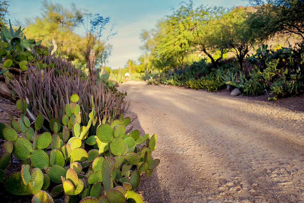 Southwestern Road art print by Bill Carson Photography for $57.95 CAD