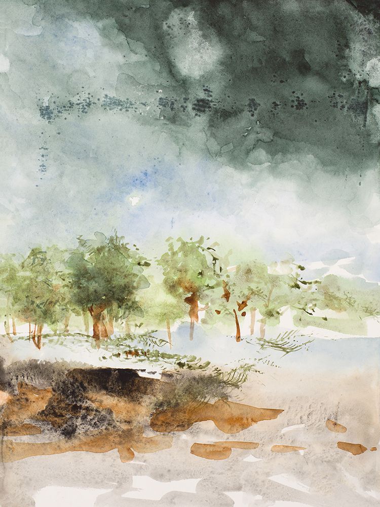 Island Rain II art print by Lanie Loreth for $57.95 CAD