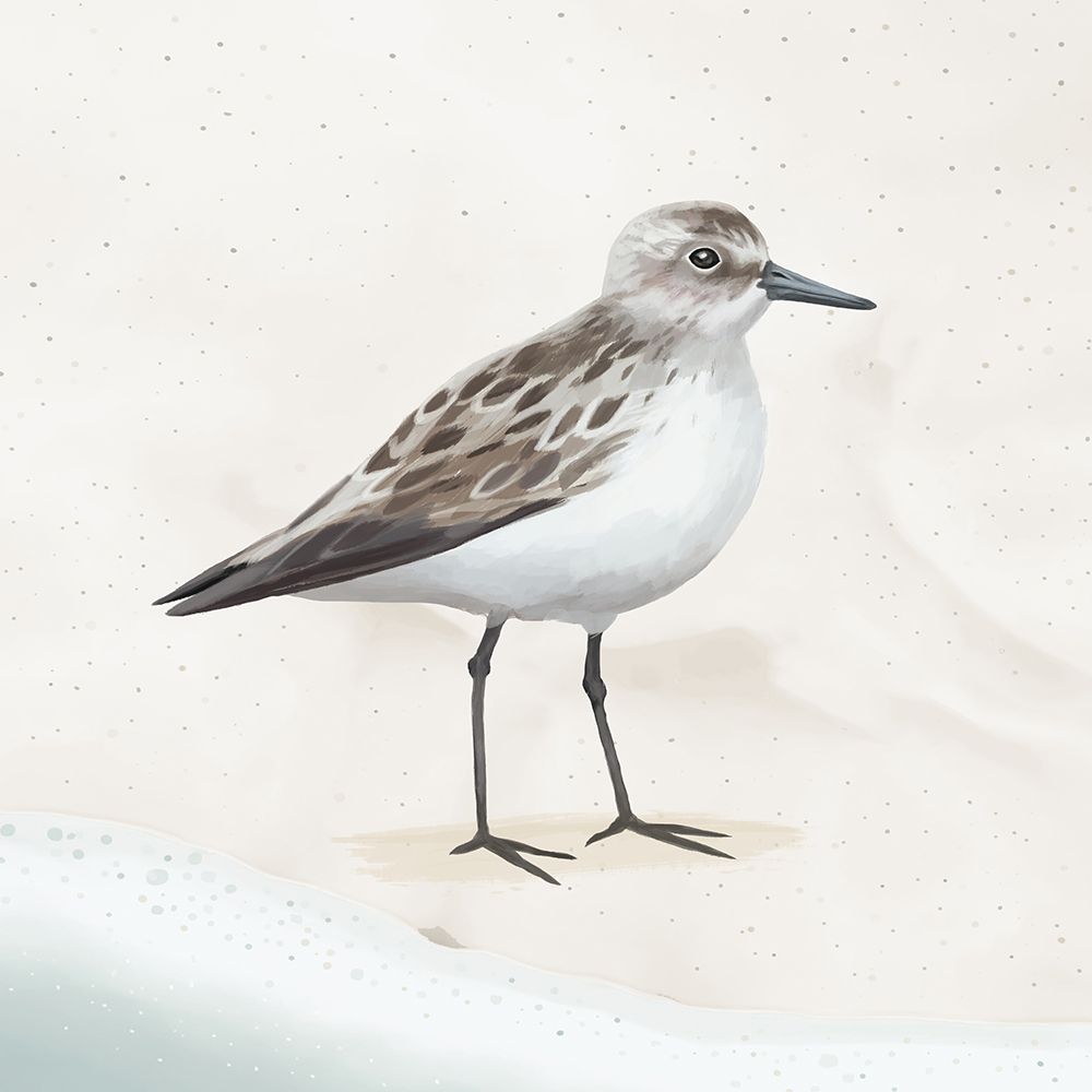 Sandpiper on the Beach I art print by Lucca Sheppard for $57.95 CAD