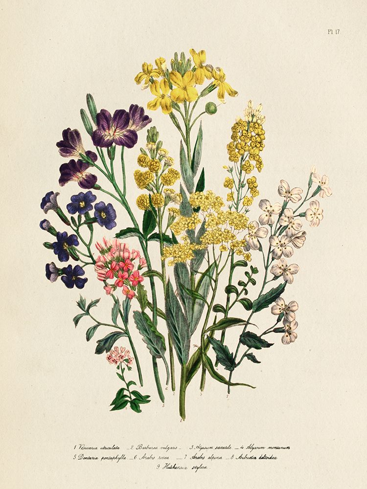 Vintage Flowers I art print by Piddix for $57.95 CAD