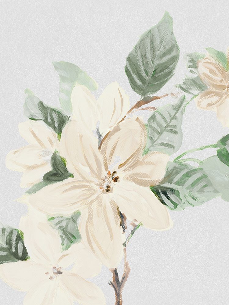 Muted White Blossoms II art print by Lanie Loreth for $57.95 CAD