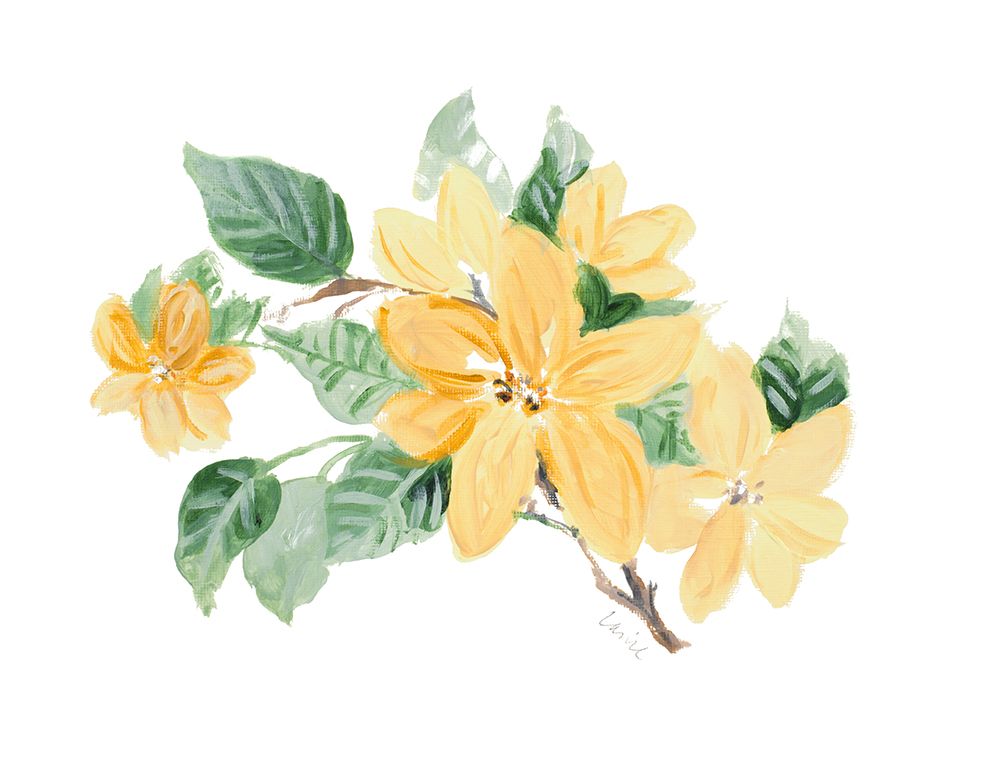 Soft Yellow Flowers II art print by Lanie Loreth for $57.95 CAD