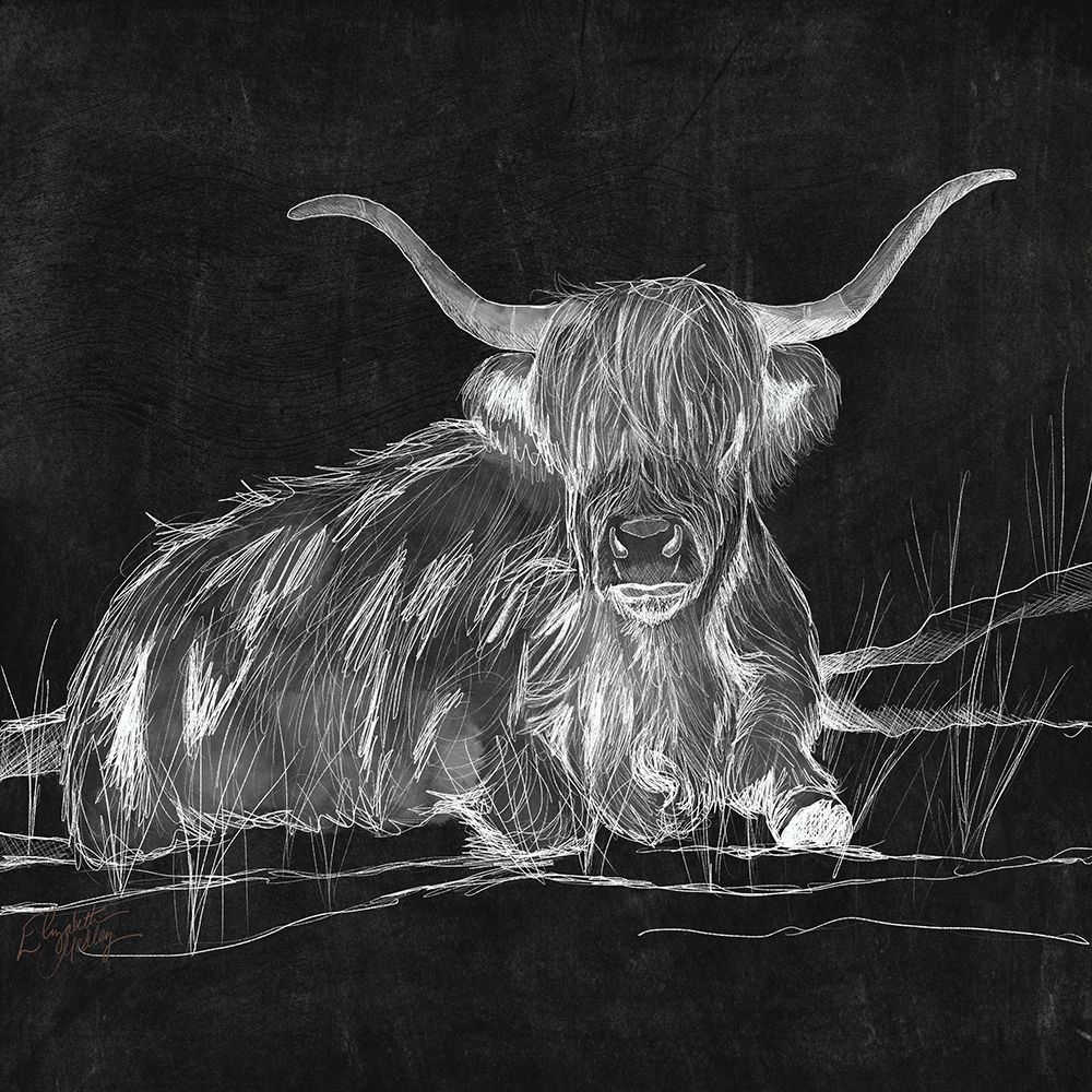Longhorn Sketch on Black art print by Elizabeth Medley for $57.95 CAD