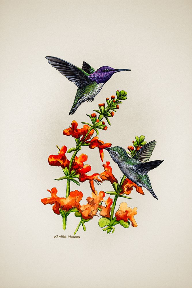 Costas art print by James Harris for $57.95 CAD